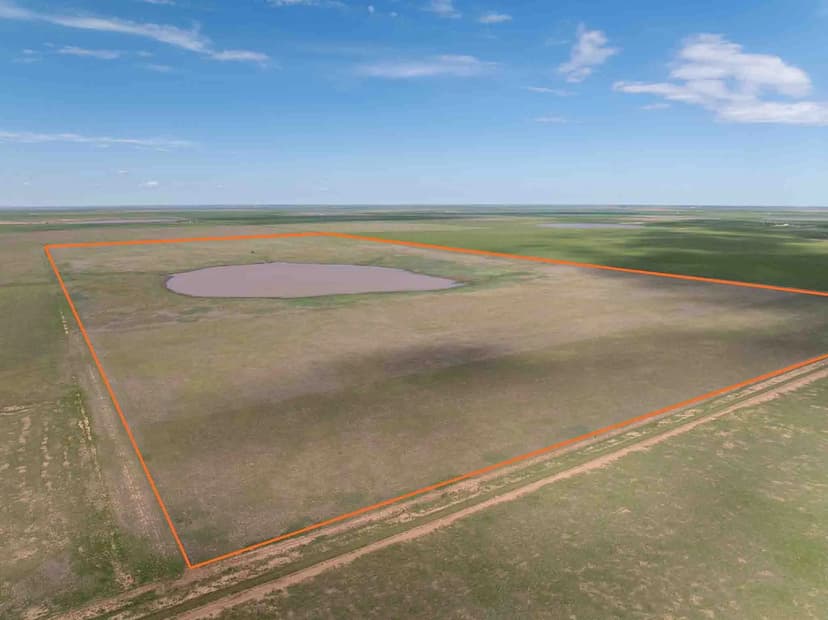 320 Acres County Road OO, Hereford, TX 79045