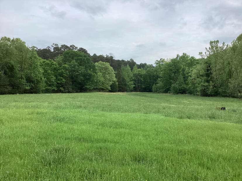 10 Acres in Montgomery County, AR
