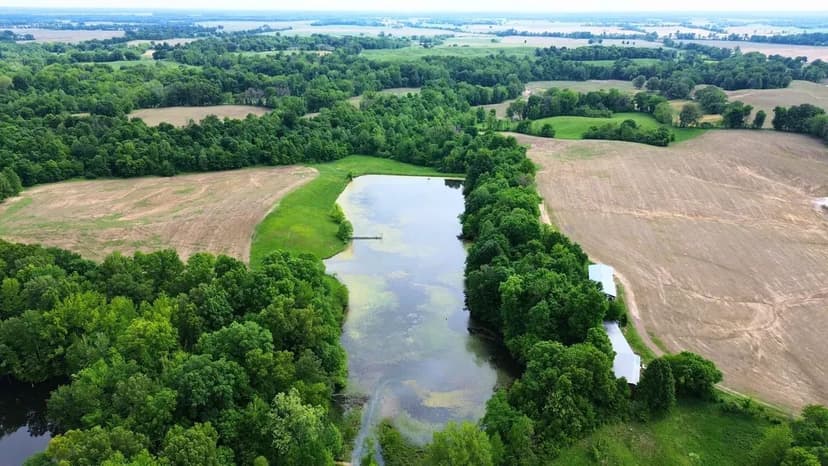 Fish, Hunt, Live, Farm