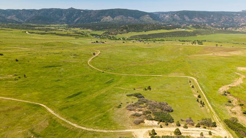 Three Pine Ridge Ranch
