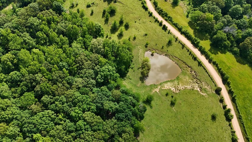 42.2 Acres in Panola County, MS 