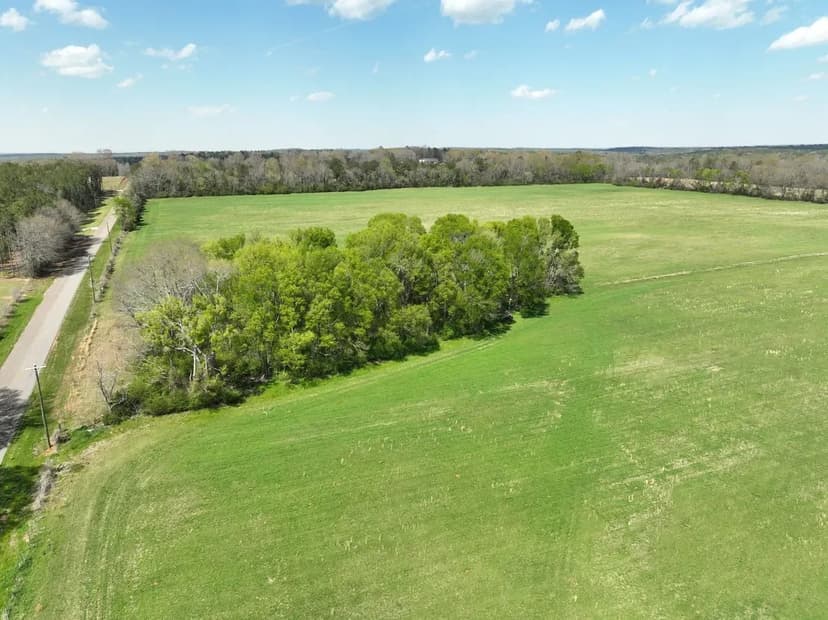 9 Acre Dream Homesite With Towering Oak Trees (Lot 11)