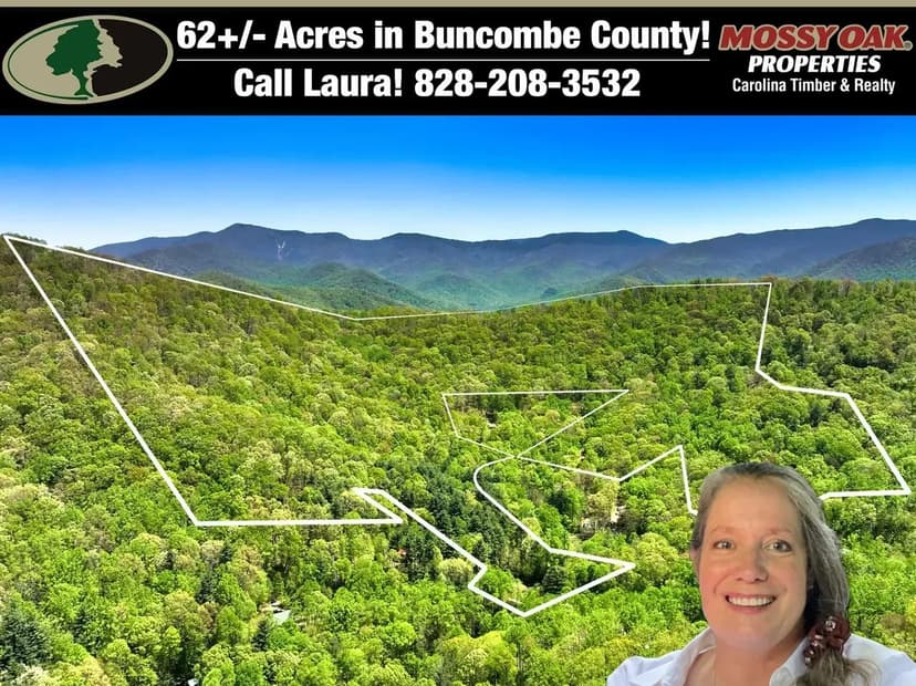 62+/- acres in Barnardsville NC, from pond to peak!