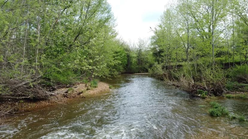 Scenic and secluded, 29+ Acres in Webster County, MO
