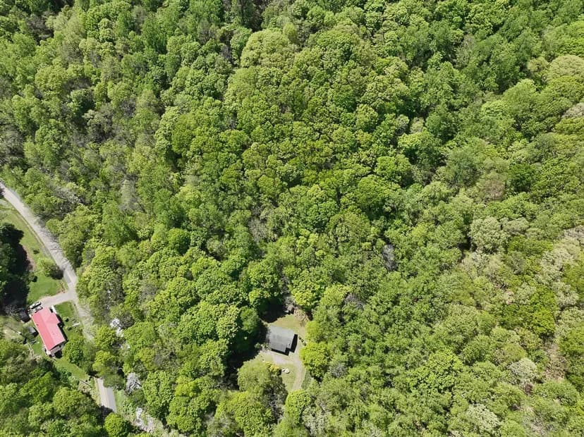 UNDER CONTRACT!!  40 Acres with a Cabin for sale in Alleghany County, VA!