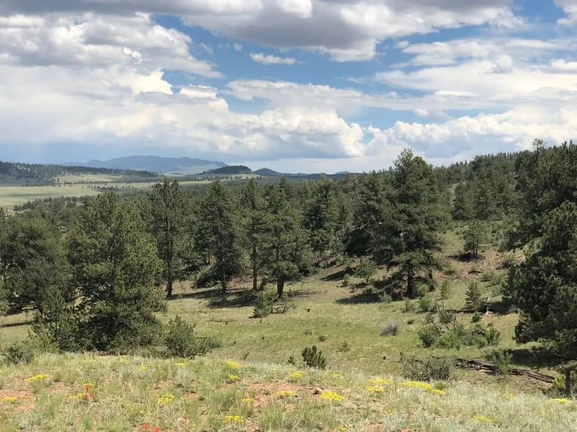 Hartsel Ranch