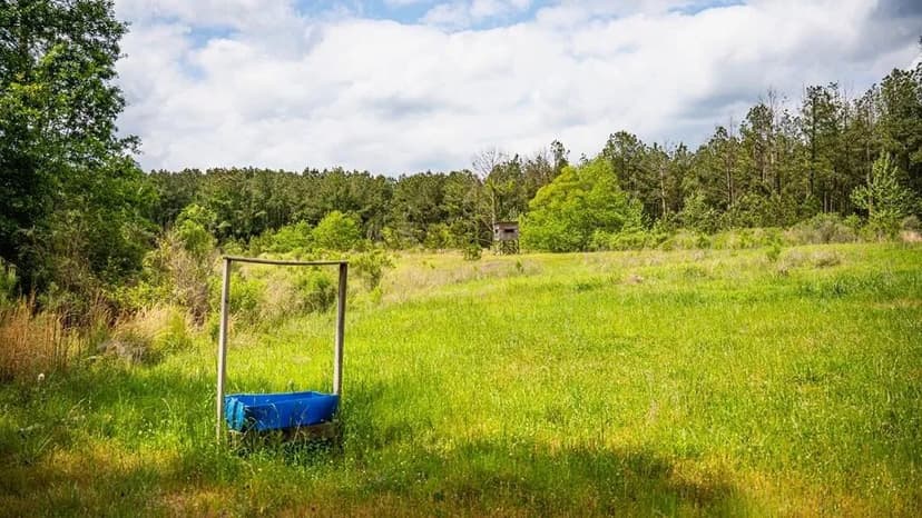 Homochitto Natl Forest Hunting Property Wilkinson Co, MS