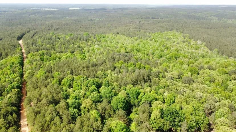 Tishomingo County 52.5