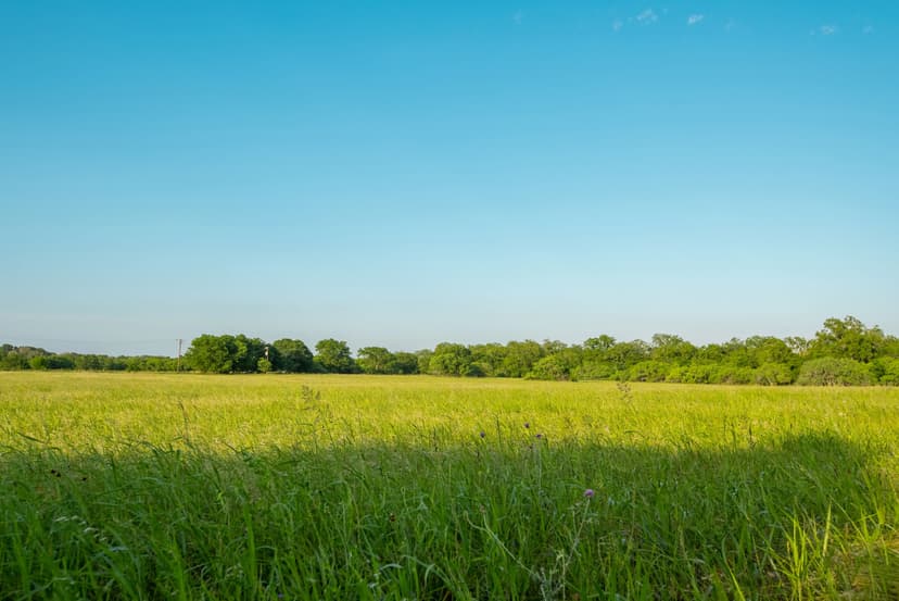 Seguin Guadalupe River Tract – 42.95± Acres