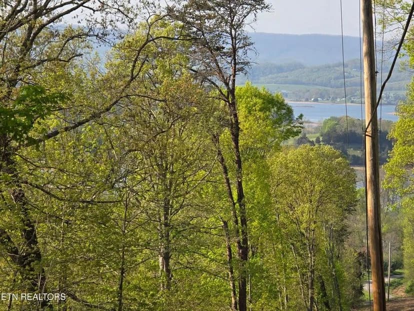 Investment or homestead property in Hamblen County