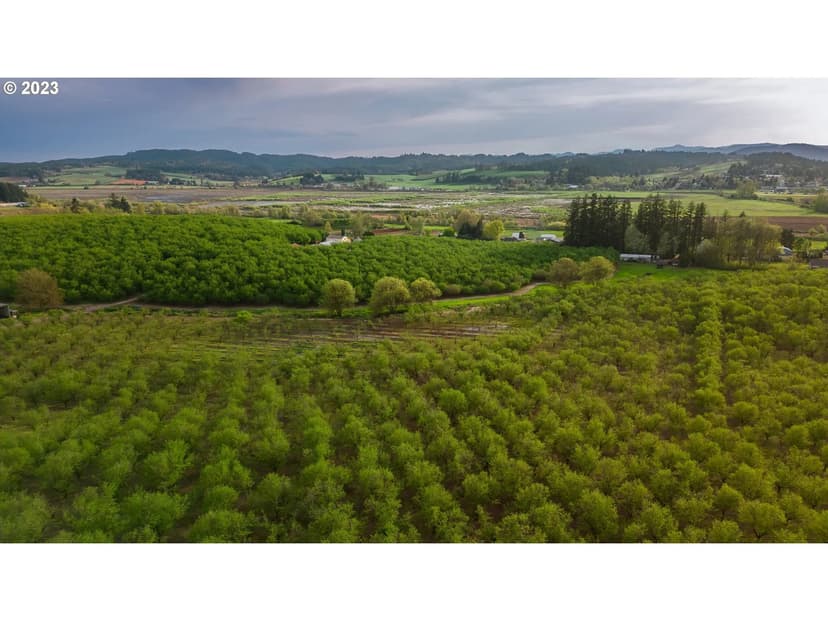 Gaston Hazelnut Orchard