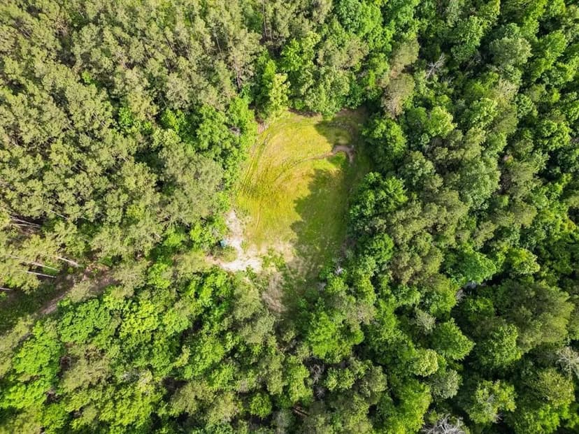 586 Hunting Land in the Catahoula Hills with Creek 