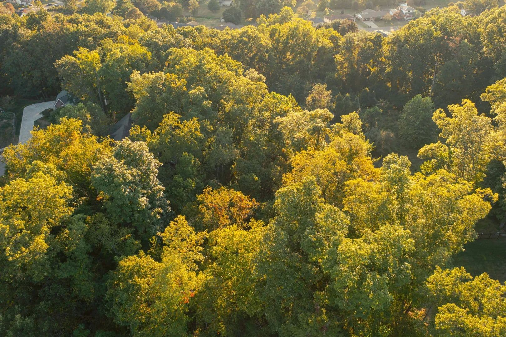 Land -Single Family Acreage in Lancaster - Lancaster, Ohio, 43130