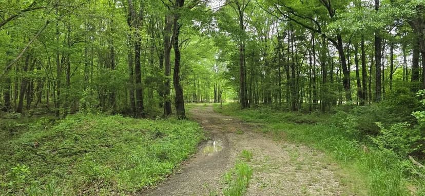 500+ acres , creeks, slough, ag fields Haywood County