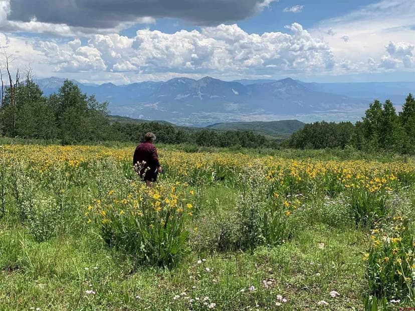 Grand Mesa Mountain Land