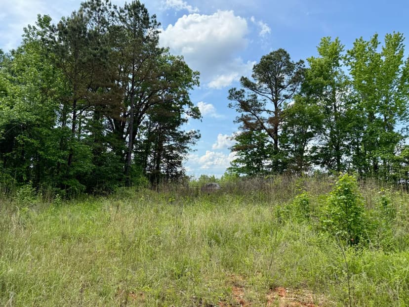 35.4 Acres in Winston County, MS 