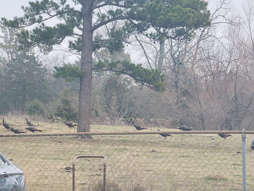 Buffalo Valley Ranch