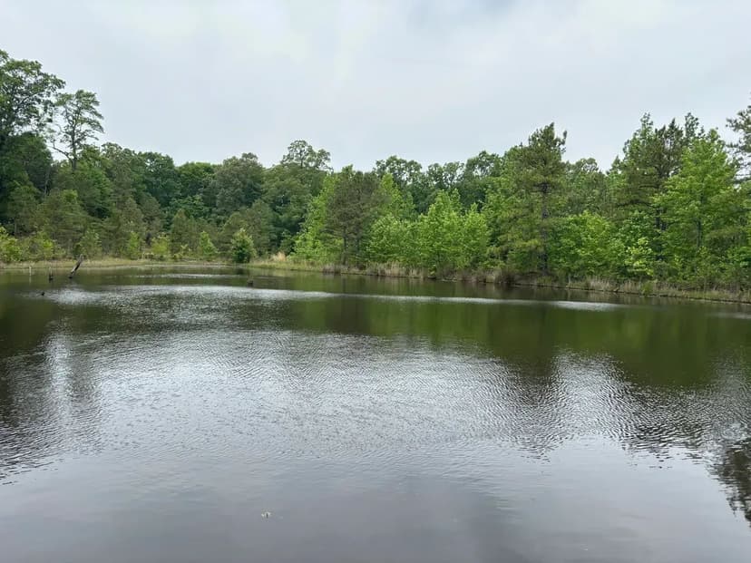 65+- wooded Acres Jackson county