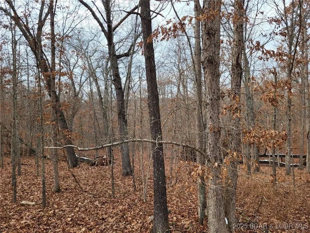 Lots & Land-Other in Edwards - Edwards, Missouri, 65326