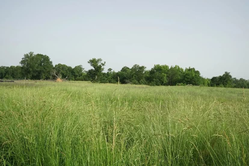 Choctaw County Sawyer OK 20acres Home and 5000Sqft. Building