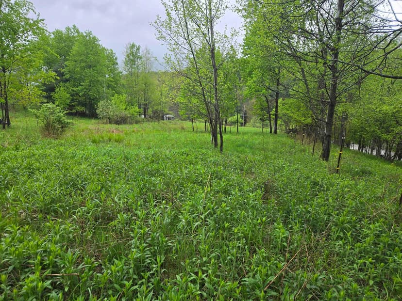 4 acre Building Lot with Stream in Bolivar NY Mead Hollow Rd