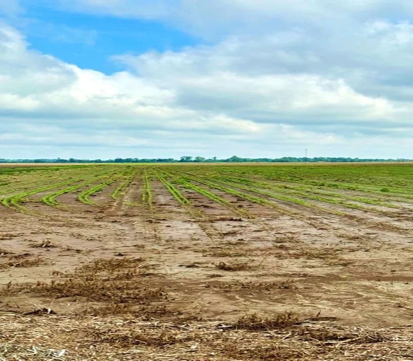 160 Acres in Coahoma County in Clarksdale, MS