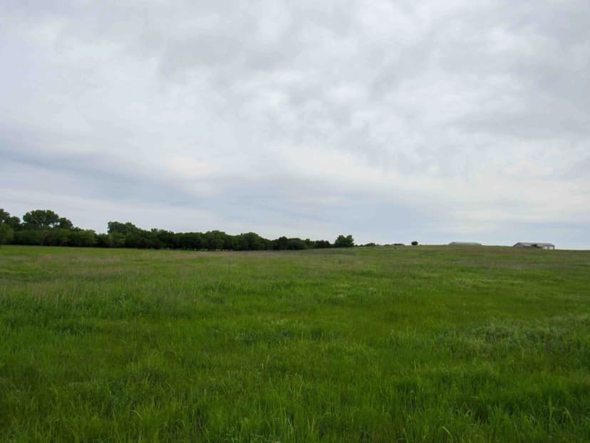 45+/- ACRES  FUTURE HOME SITE 