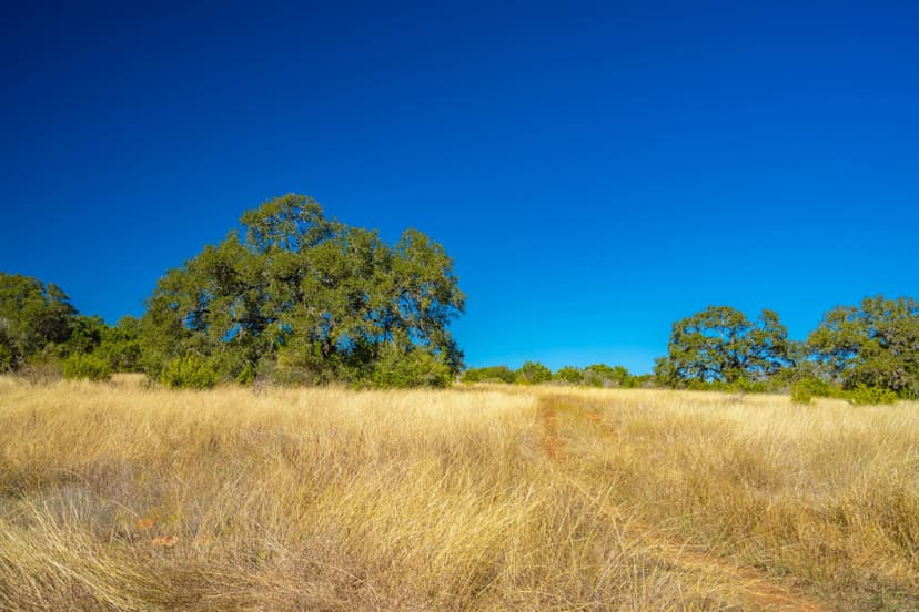 Purgatory Bend Ranch North
