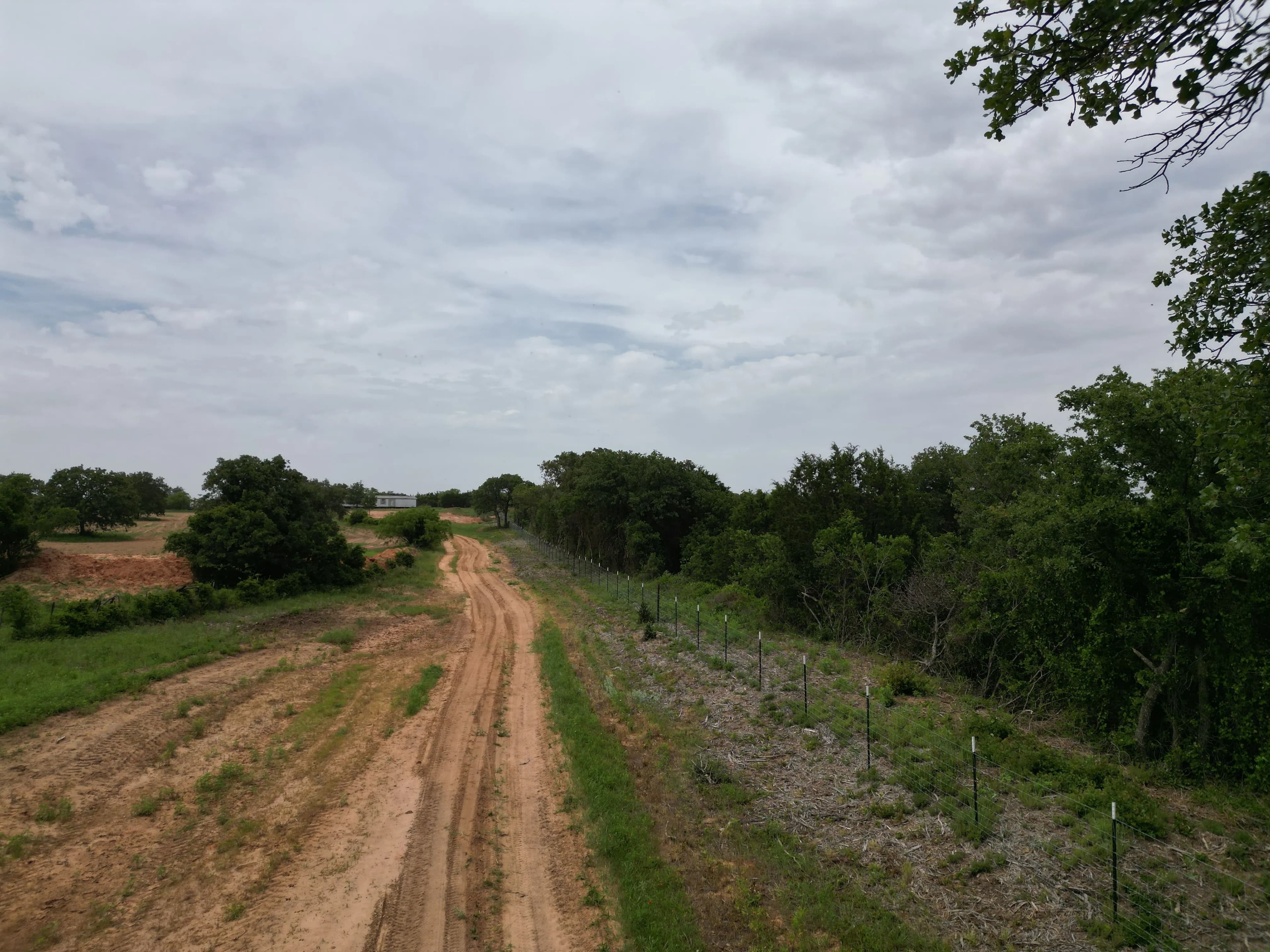 New Listing!! 41.721 Acres, Callahan County in Baird, Texas - photo 17