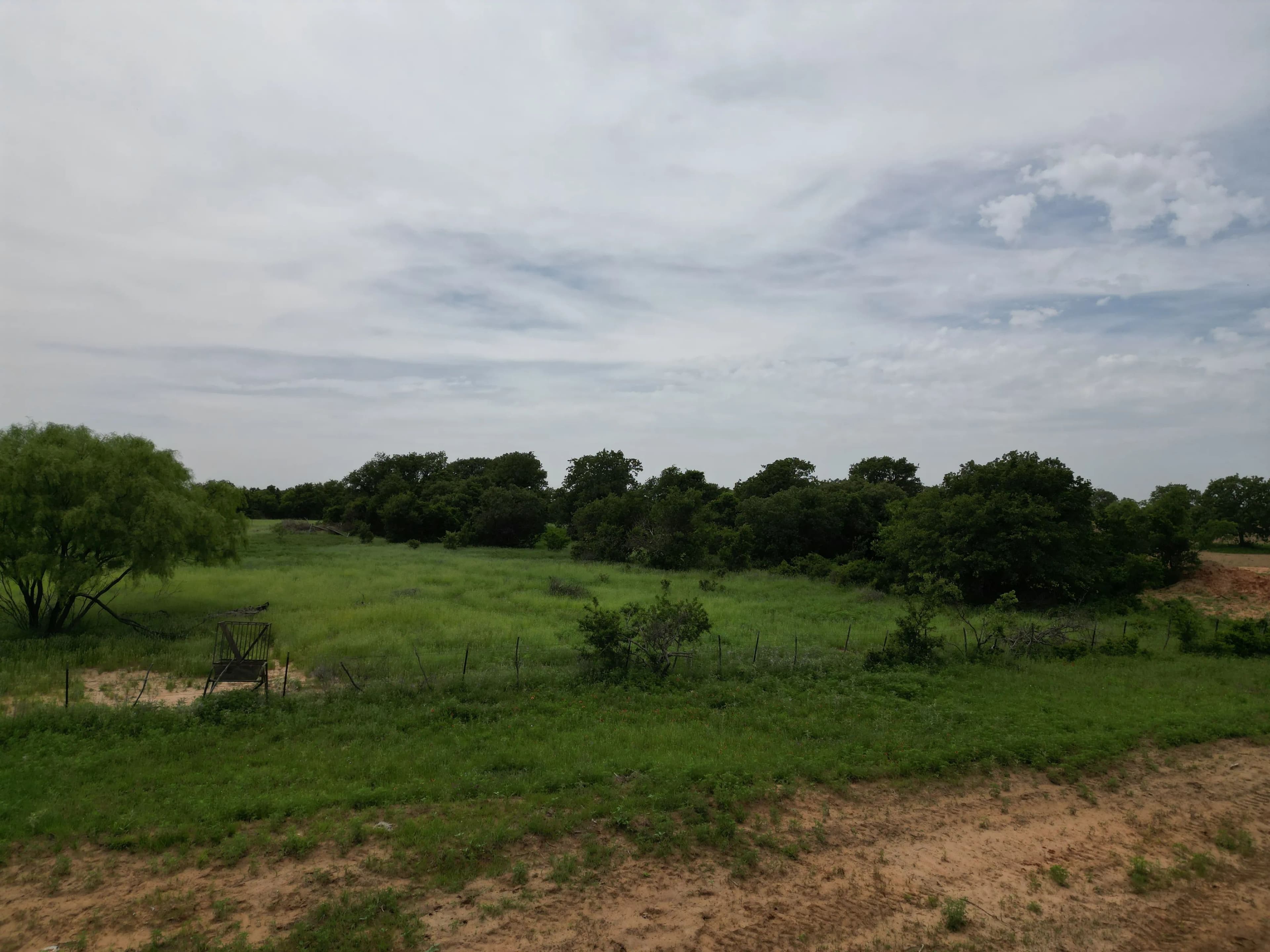New Listing!! 41.721 Acres, Callahan County in Baird, Texas - photo 18