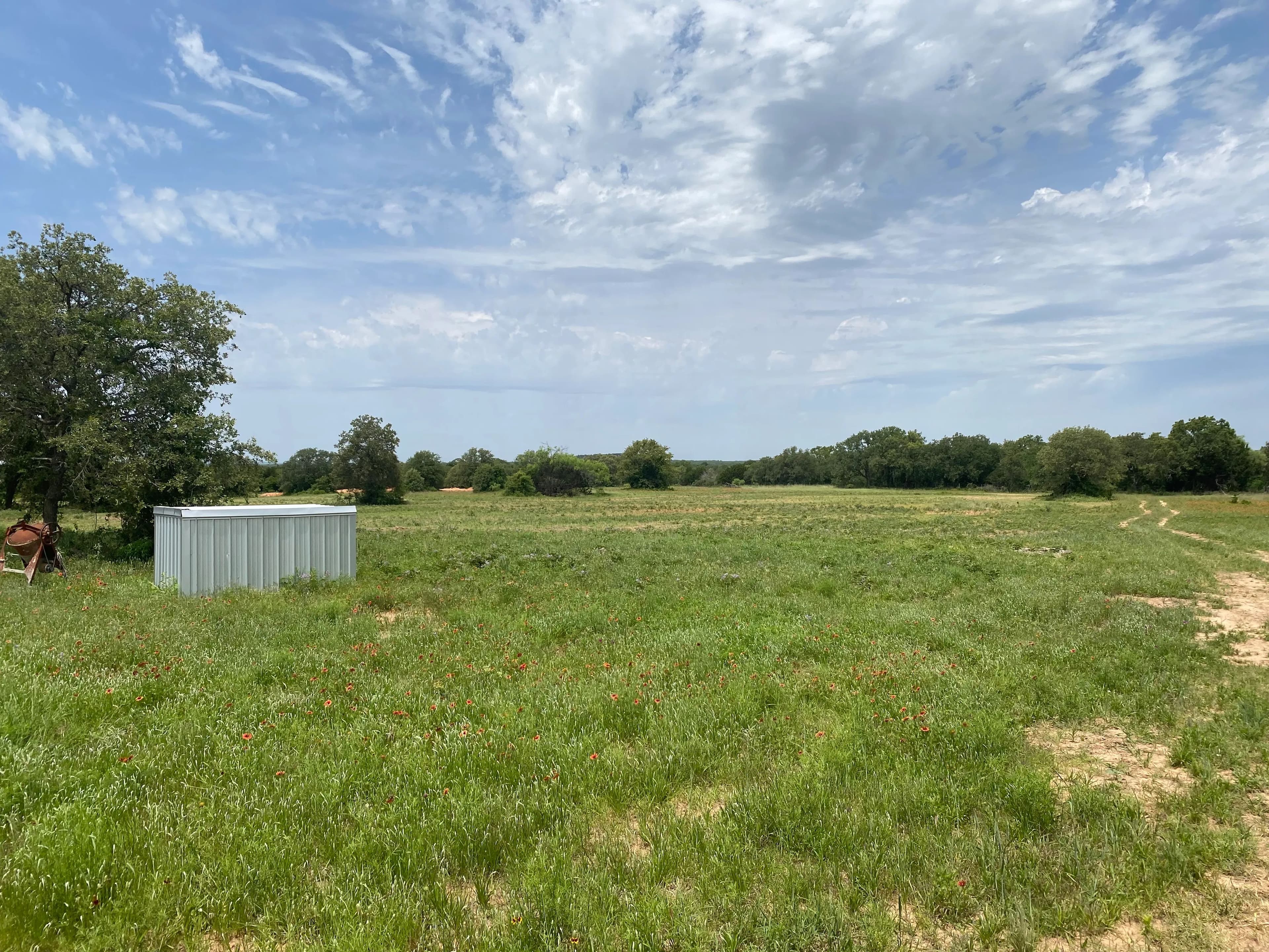 New Listing!! 41.721 Acres, Callahan County in Baird, Texas - photo 19