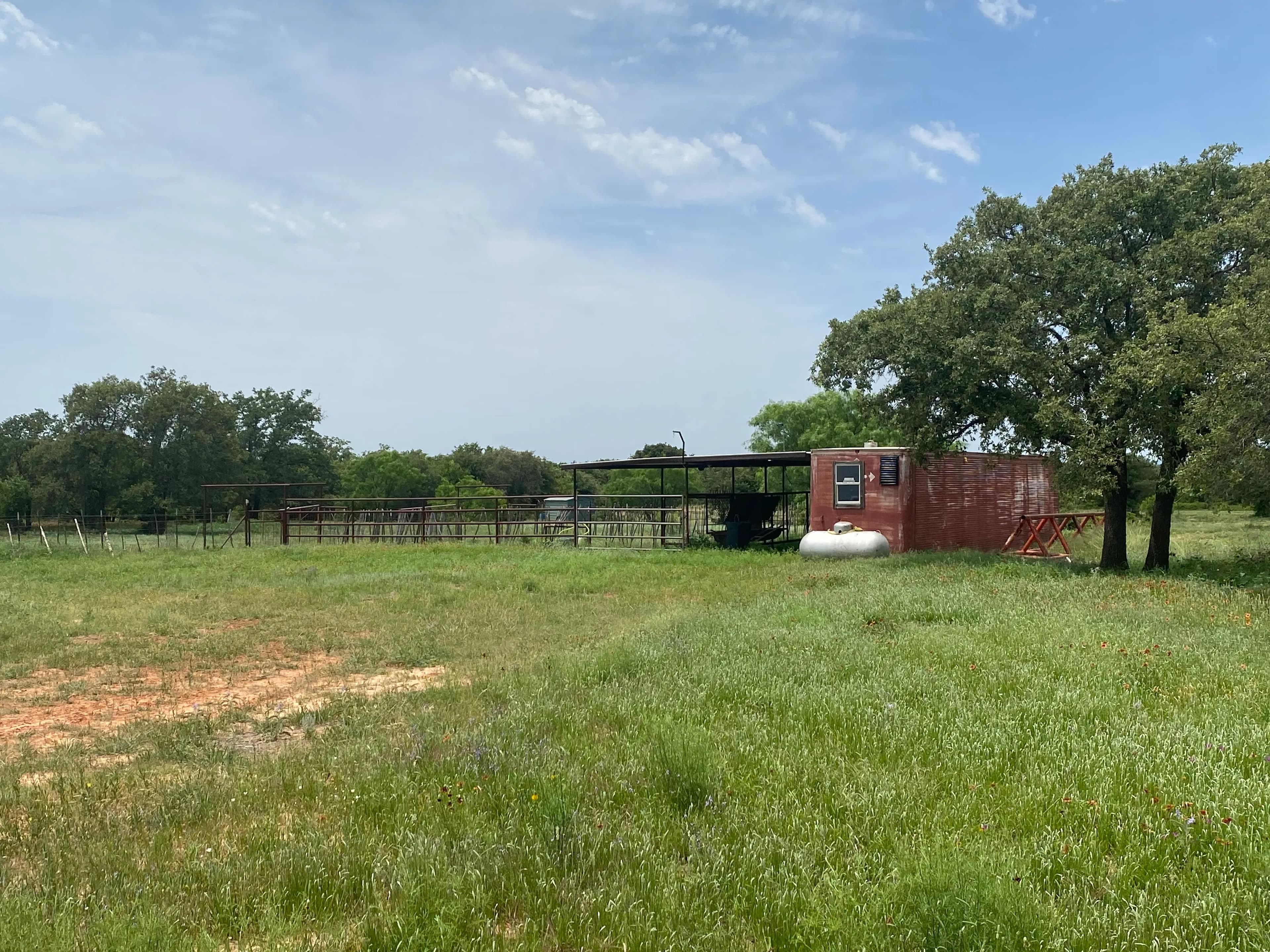 New Listing!! 41.721 Acres, Callahan County in Baird, Texas - photo 20