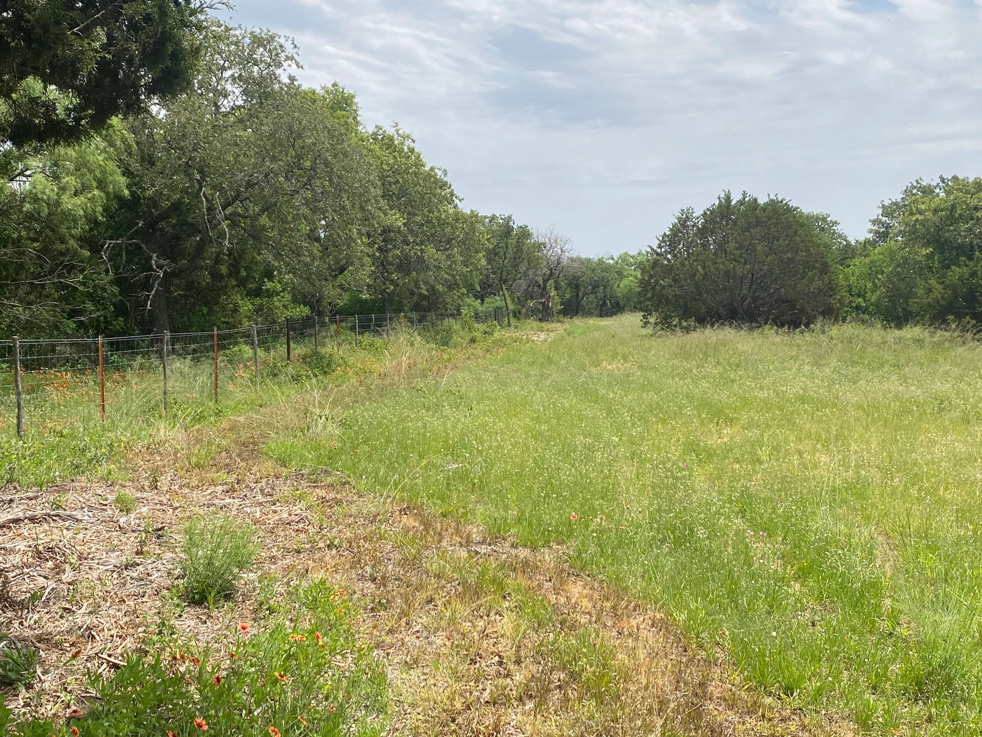 New Listing!! 41.721 Acres, Callahan County in Baird, Texas - photo 22