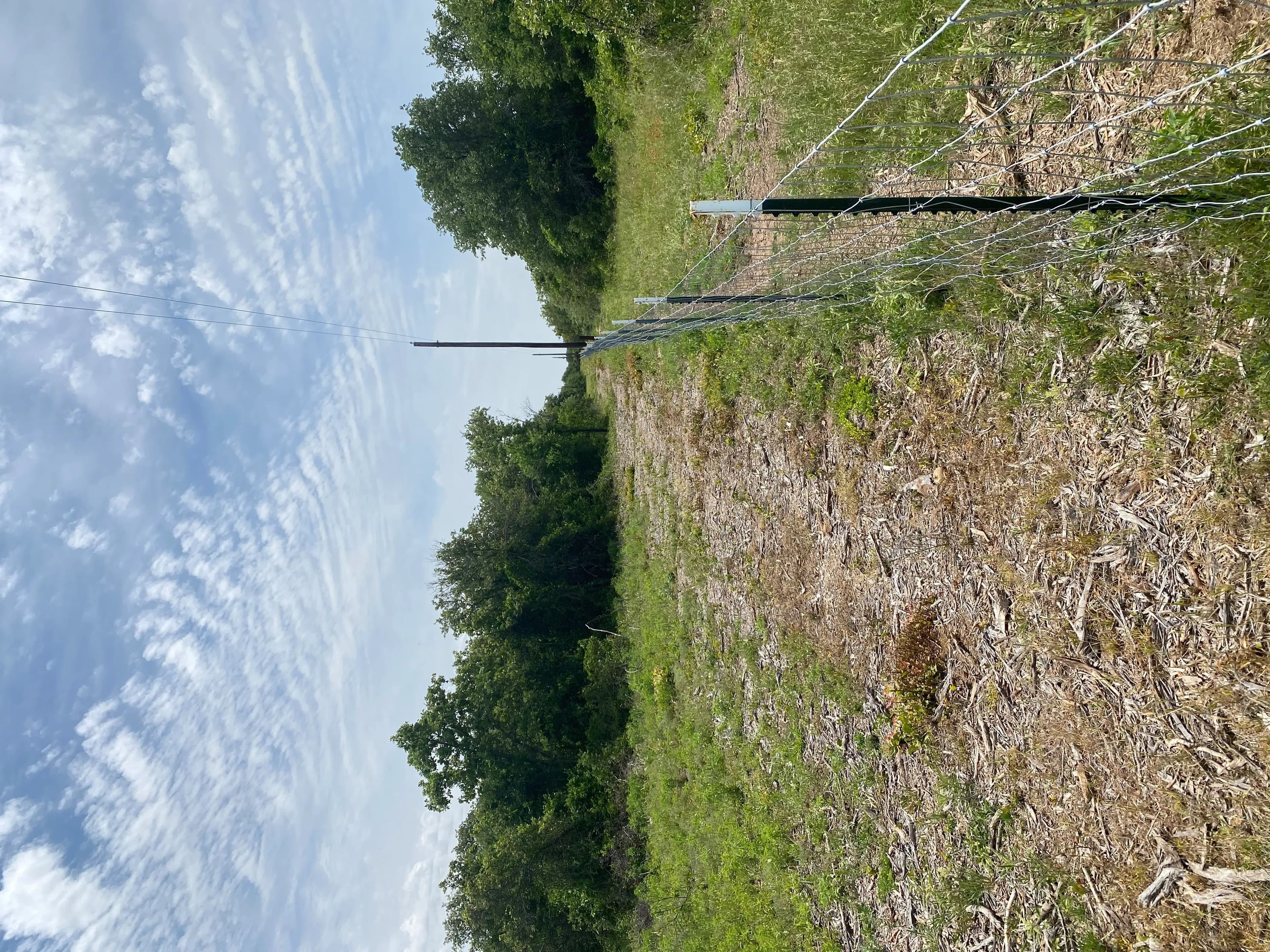 New Listing!! 41.721 Acres, Callahan County in Baird, Texas - photo 23