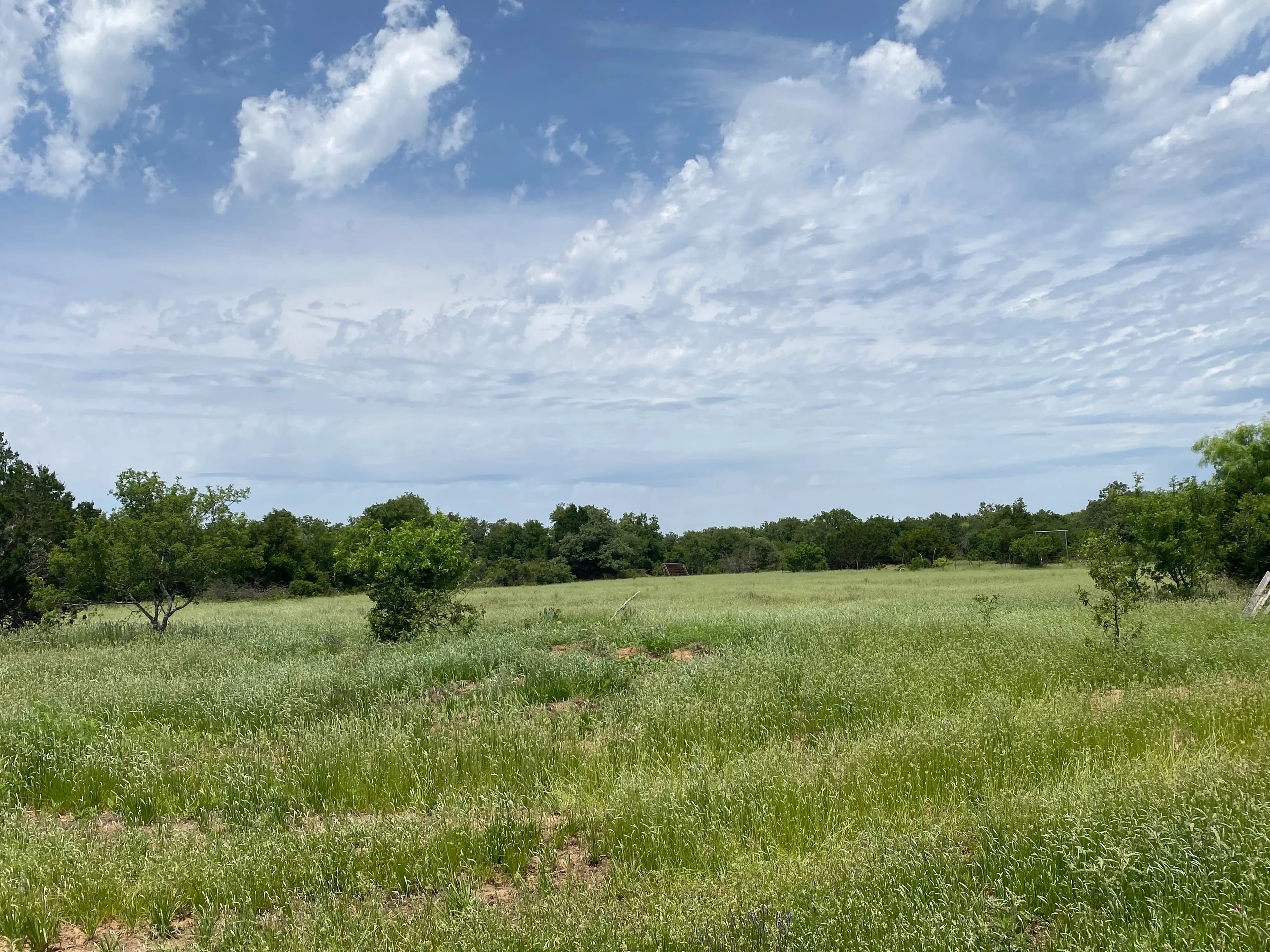 New Listing!! 41.721 Acres, Callahan County in Baird, Texas - photo 24