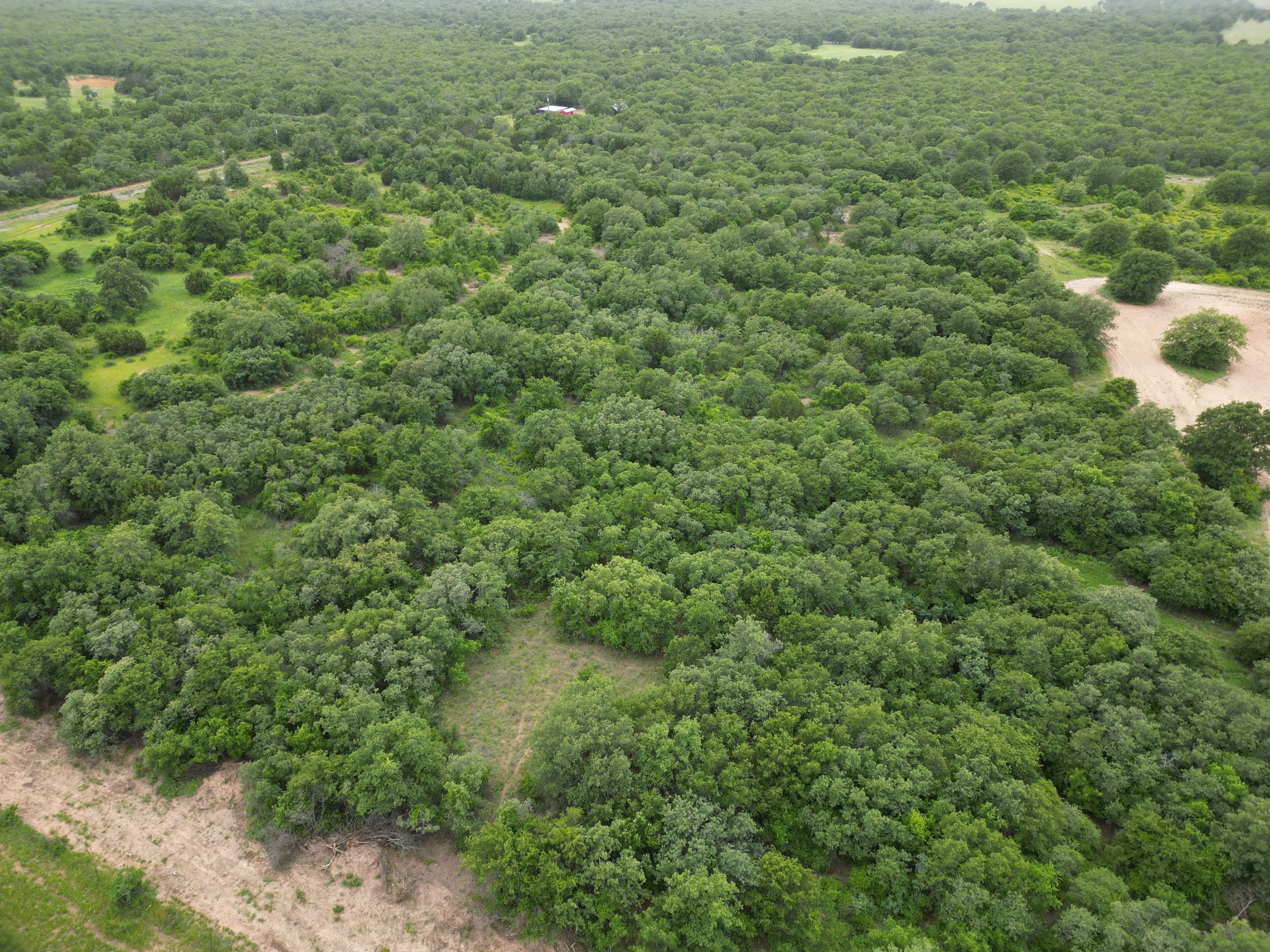 New Listing!! 41.721 Acres, Callahan County in Baird, Texas - photo 3