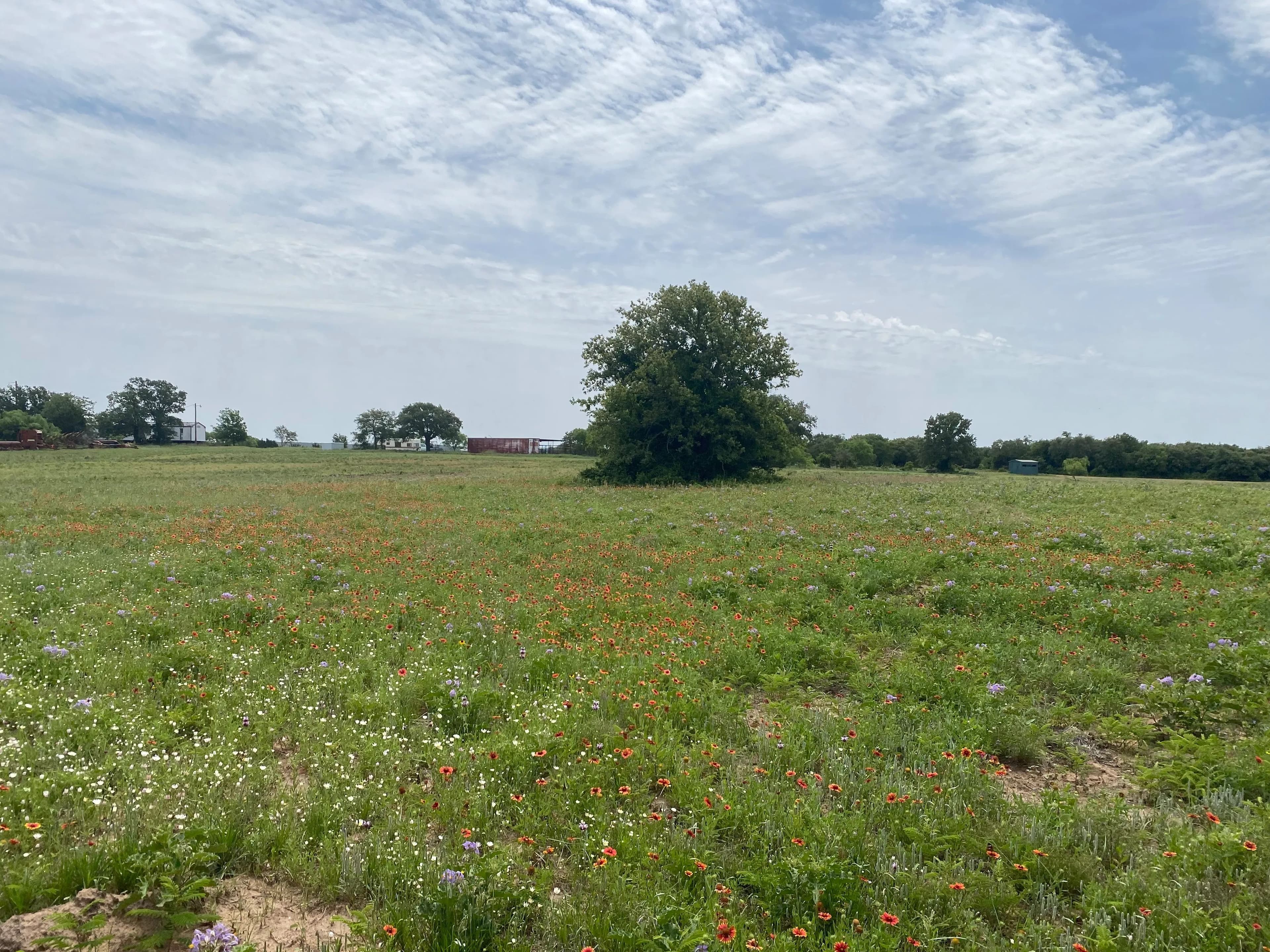 New Listing!! 41.721 Acres, Callahan County in Baird, Texas - photo 32