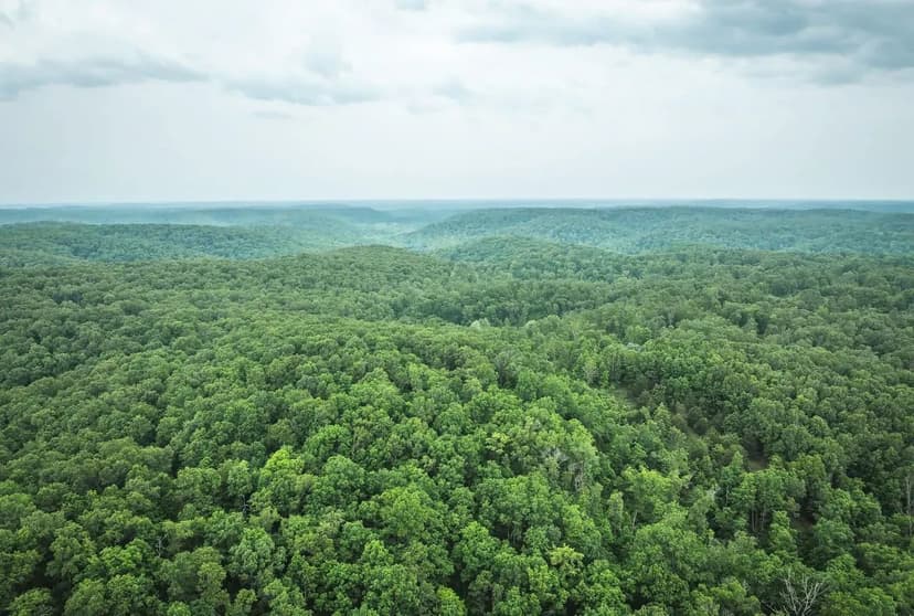 Pine Hollow Sportsmen's Retreat