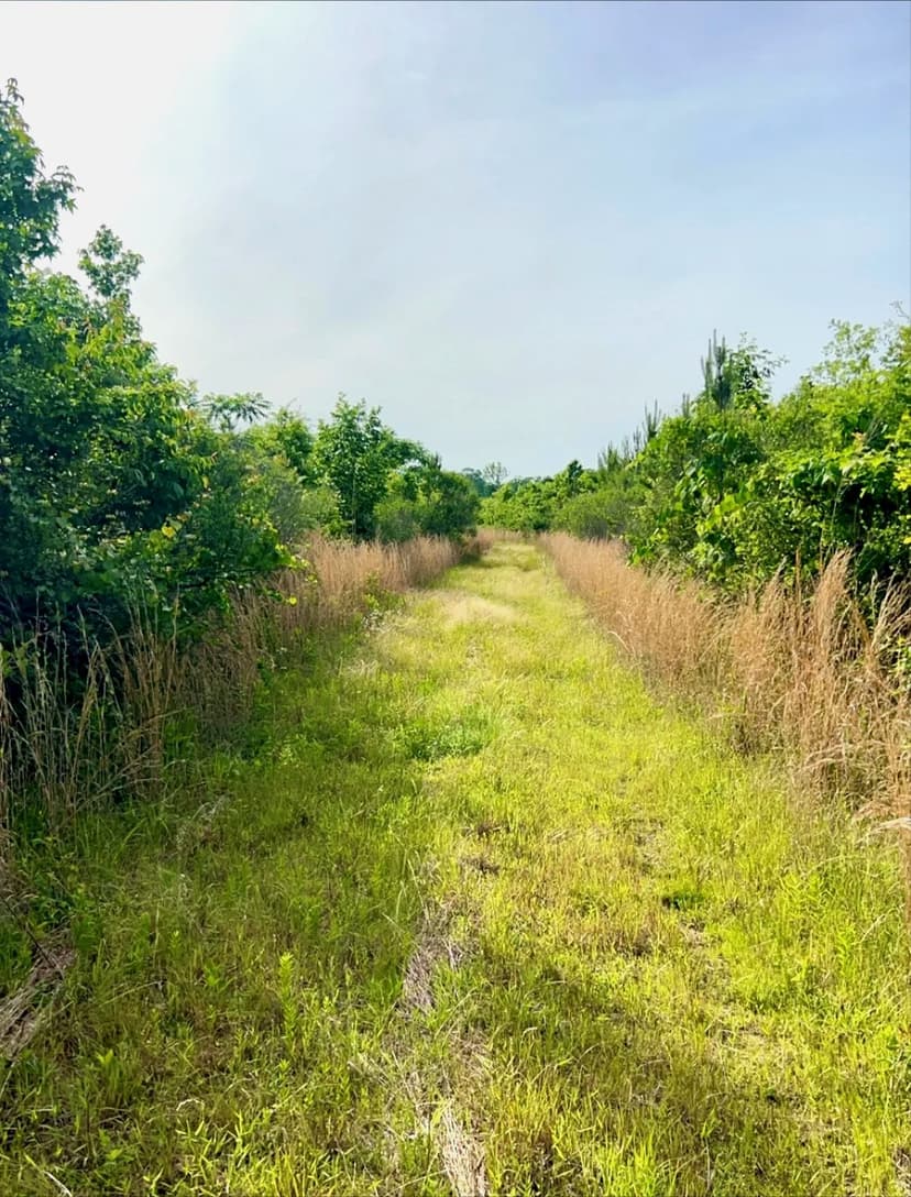 420 Acres in Rankin County in Richland, MS