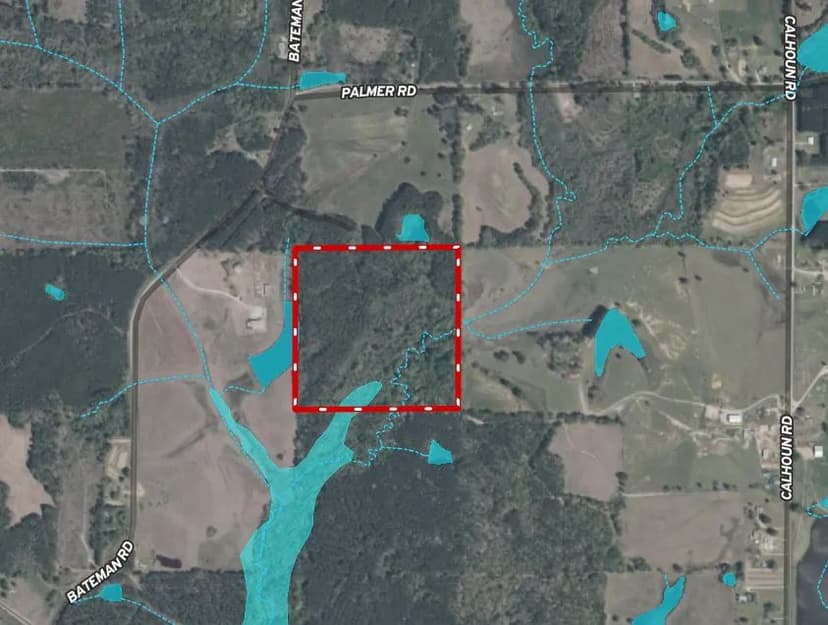 40.35 Acres in Winston County, MS