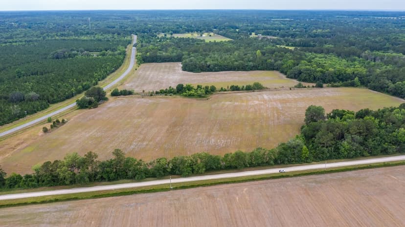 Exceptional opportunity to acquire 52.95 acres of farmland in the heart of LaCrosse {A-735}