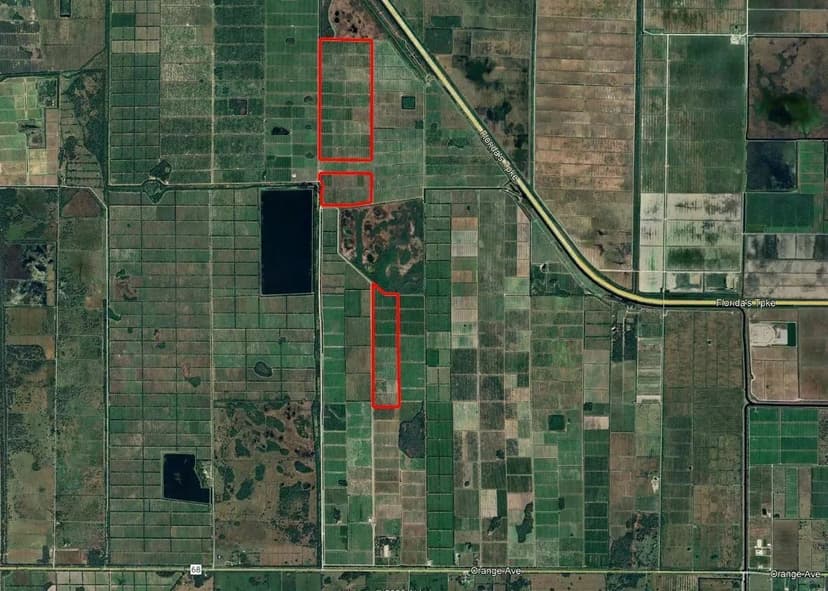  Productive 547 Net Tree Acre Citrus Grove 