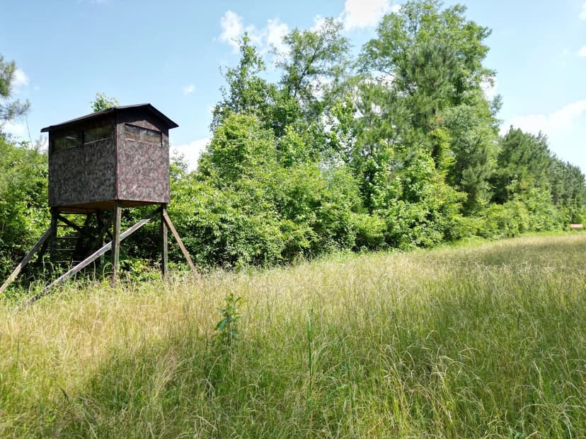 101.6 Acres in Jasper County in Bay Springs, MS