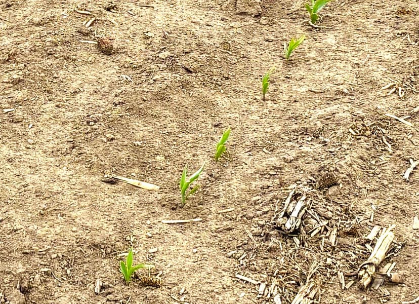 Frontier County Dry Cropland