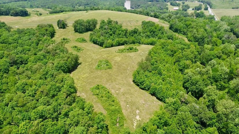 Attalla 120 Acre Farm