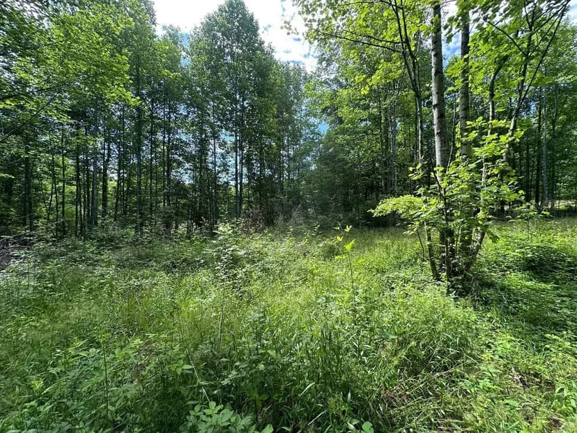 5.21+/-acres wooded property already set up to build your dream home