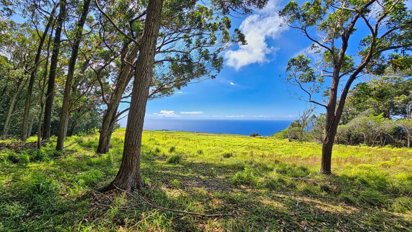 14-Acres of Panormaic Ocean View Mountain Land in Naalehu, Hawaii