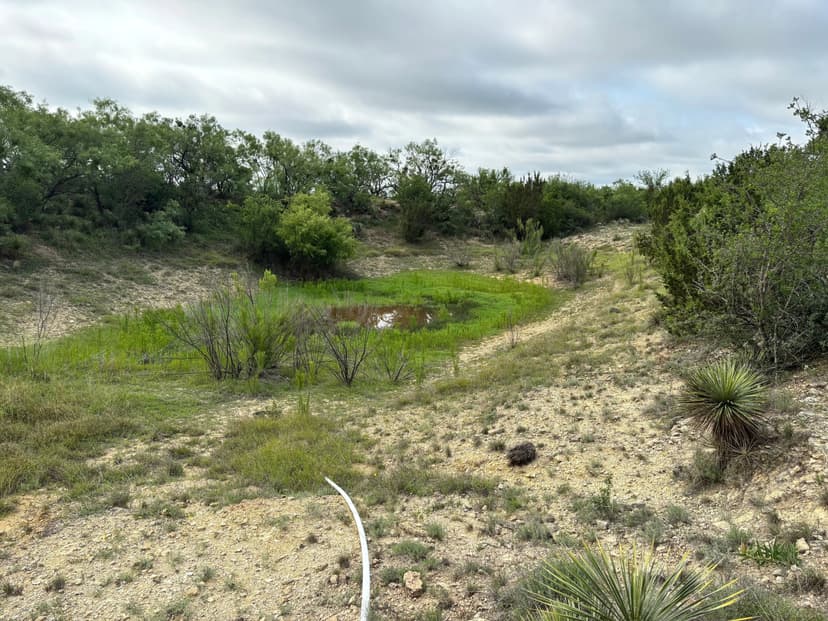 19 acres McCulloch County