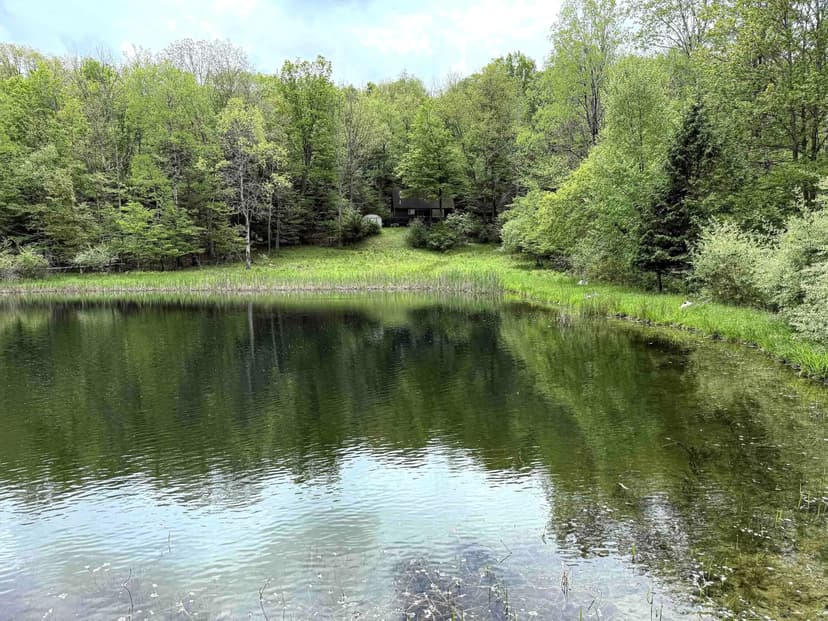 45 acres Cabin with Pond and Timberland in Cameron NY 3304 County Rd 22