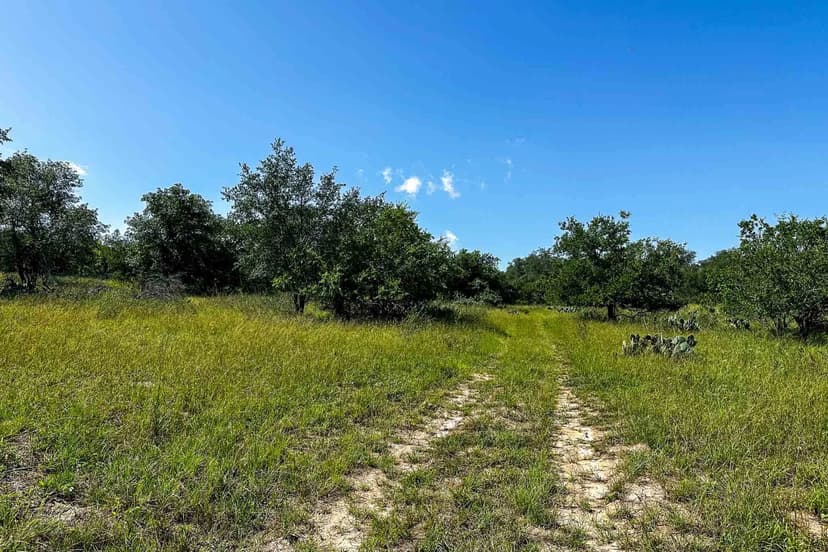 Wilson County | BRP Ranch | S of Elmendorf